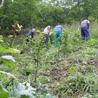 20112308130806-507.jpg